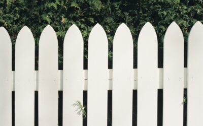 Peinture pour clôture bois blanc : Comment créer un joli contraste avec votre jardin ?